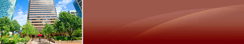 Visse & Company, CPAs